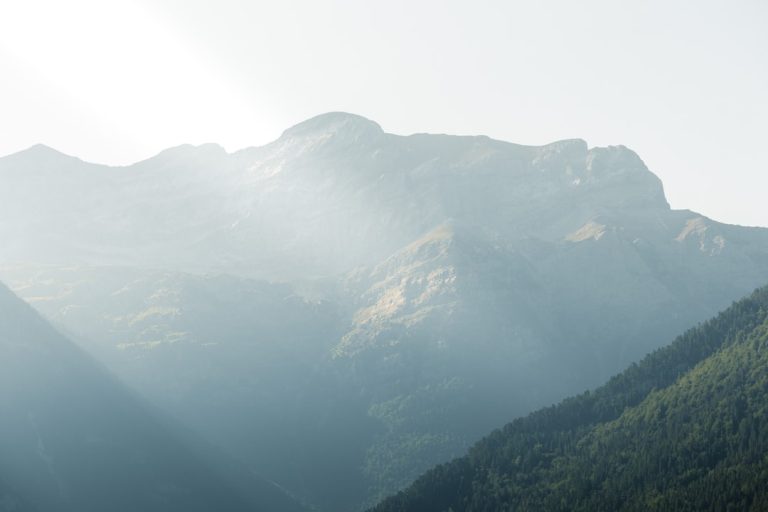 Unleashing Your Inner Explorer: A Journey to the Wild